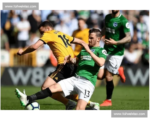 热刺对阵林茨全场视频回顾攻防亮点与进球瞬间解析战术复盘精彩集锦